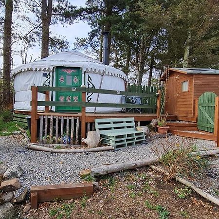 The Tall Pines Yurt ヘルムズデール エクステリア 写真
