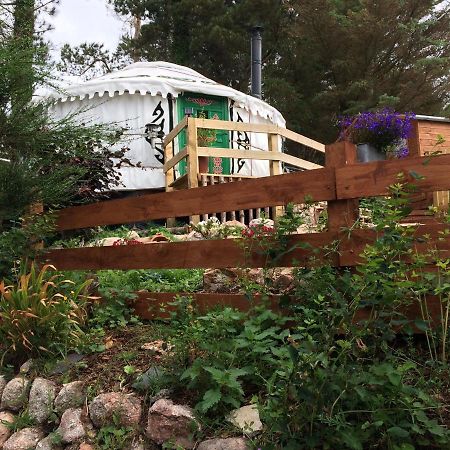 The Tall Pines Yurt ヘルムズデール エクステリア 写真