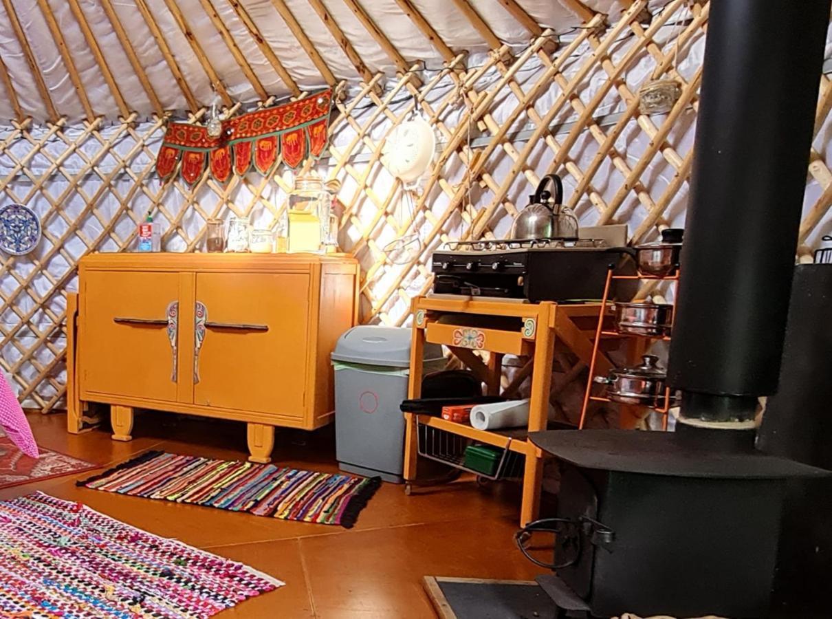 The Tall Pines Yurt ヘルムズデール エクステリア 写真