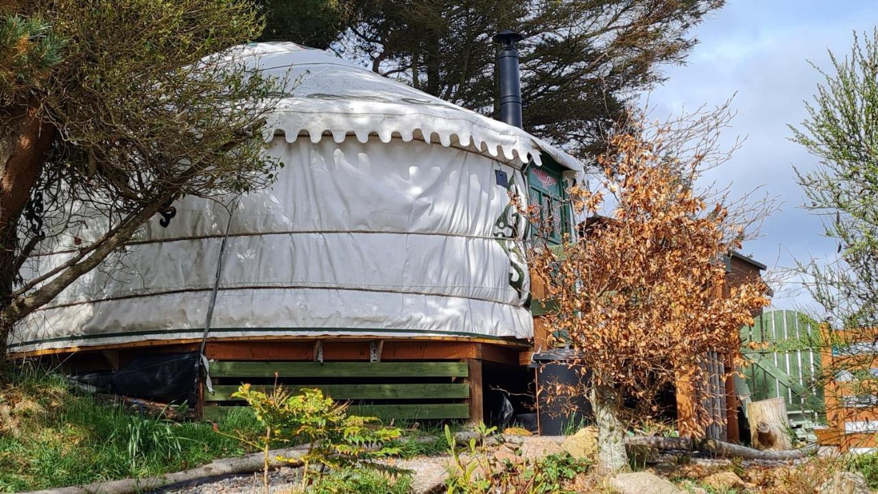 The Tall Pines Yurt ヘルムズデール エクステリア 写真
