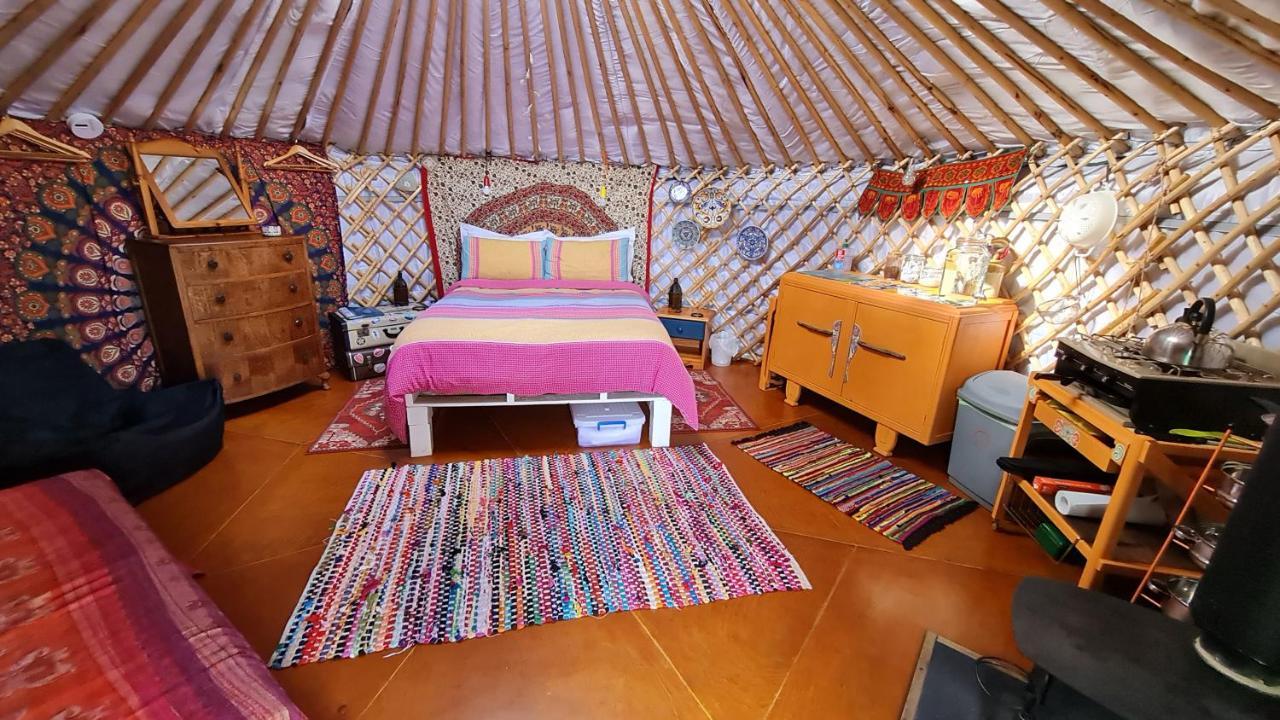 The Tall Pines Yurt ヘルムズデール エクステリア 写真