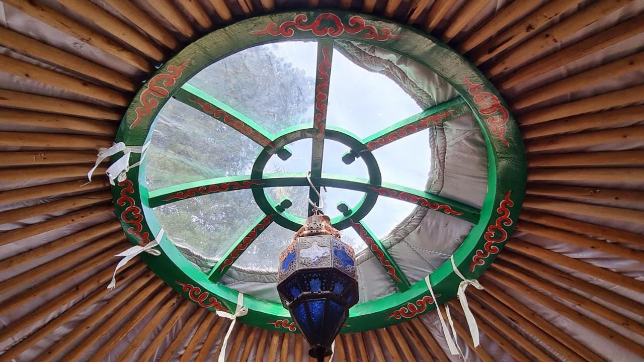 The Tall Pines Yurt ヘルムズデール エクステリア 写真