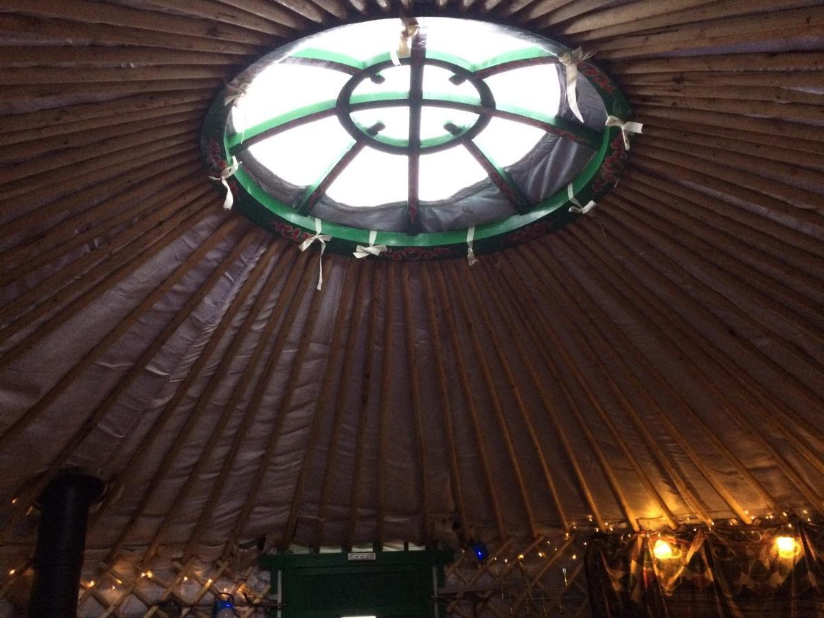 The Tall Pines Yurt ヘルムズデール エクステリア 写真