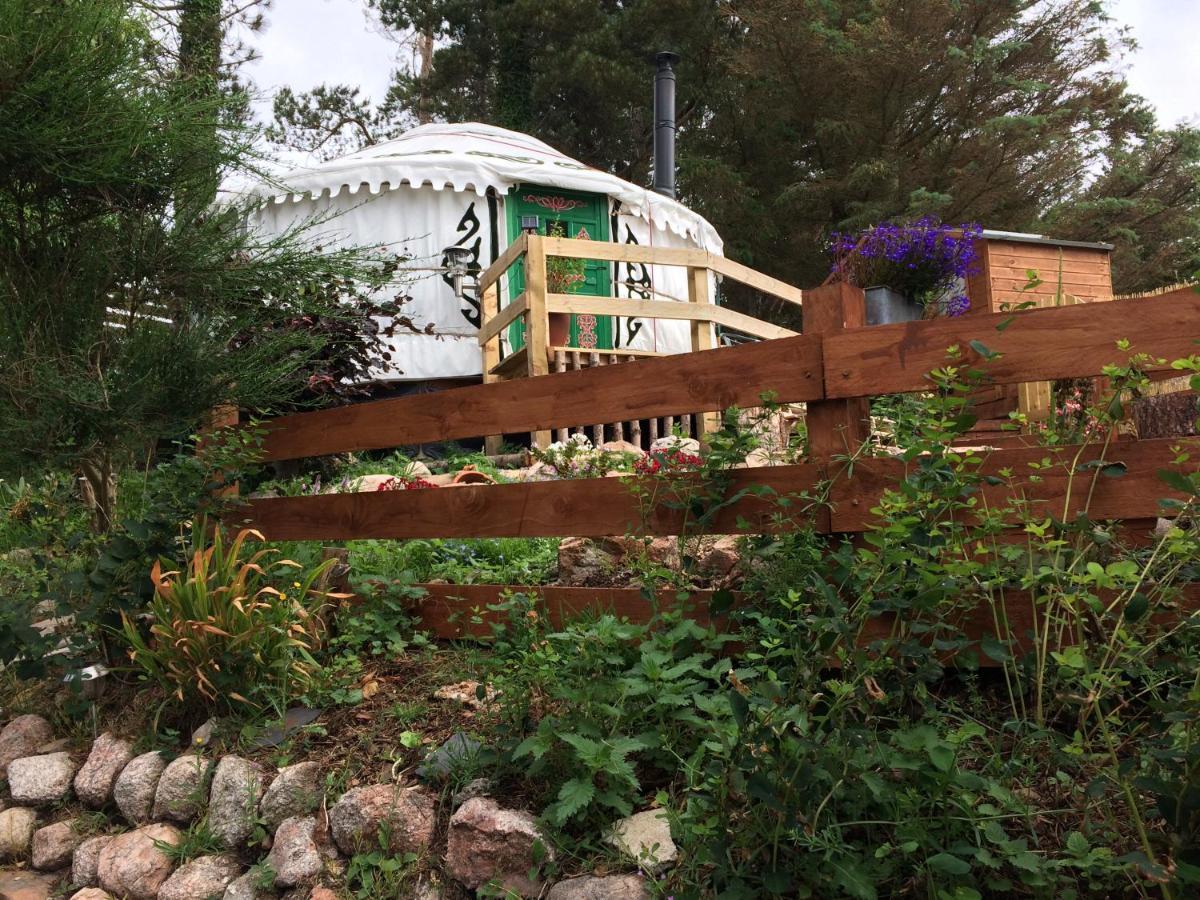 The Tall Pines Yurt ヘルムズデール エクステリア 写真